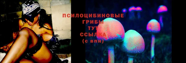 ешки Алзамай