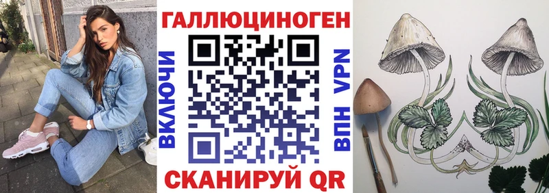Псилоцибиновые грибы мицелий  Каменногорск 